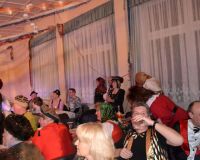 fasching 2013 70